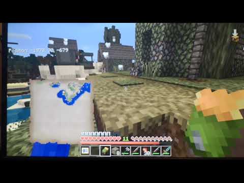 The Wizard Nickleby - Wizard nickleby let's play: Minecraft ep 39-I found a zombie village