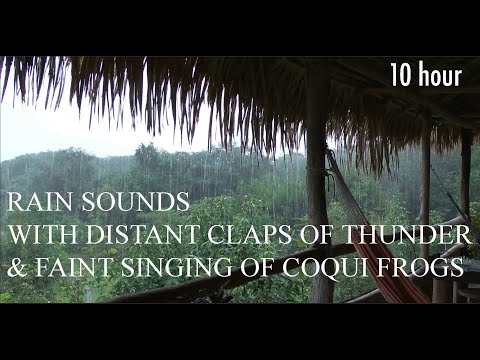 10 hour RAIN Sounds with Coqui frogs for Sleeping | Sleep and Relaxation | Rain Forest Nature Sound