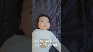 #ロサンゼルス #海外在住ママ #赤ちゃんのいる生活 #生後2ヶ月