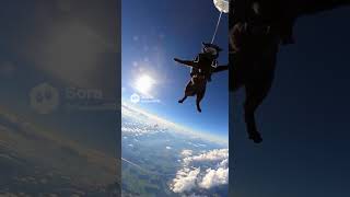 Sky cat  #sora2 #aivideo #shorts