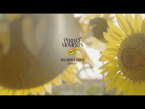 Perfect Moments by Schweppes
Marlon + Veintiuno en Mas Sorrer