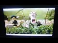Shaun The Sheep Mower Mouth Speed Up Slow GoTube