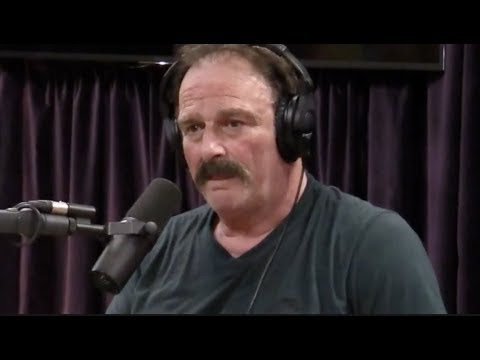 Joe Rogan - Jake The Snake on Childhood Abuse and Addiction