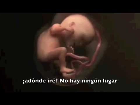 Cántico 110   Las Maravillosas Obras de Dios