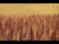 KD Lang - Barefoot (Salmonberries Movie)