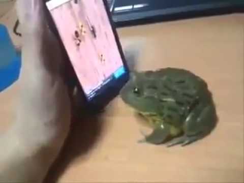 Ecco come battere tutti i record di questo app-game!