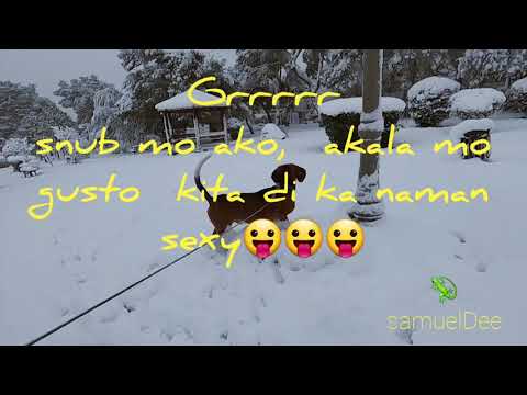 ano kaya reaction🤔ni ROCCO , first time playing in the snow🌨... TRY NOT TO LAUGH🤣