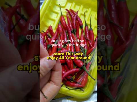 the Best way to preserve 🌶 Thai chili pepper Ever! No more waste of money! Everyone should do it!