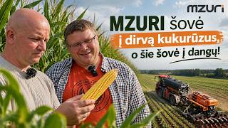 MZURI šovė į dirvą kukurūzus, o šie šovė į dangų!