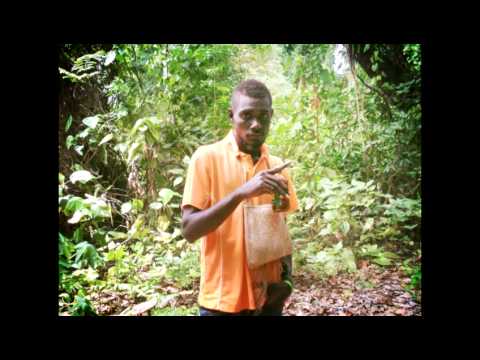 Devande ft Unit 101-Wantok(2013)Solovibes