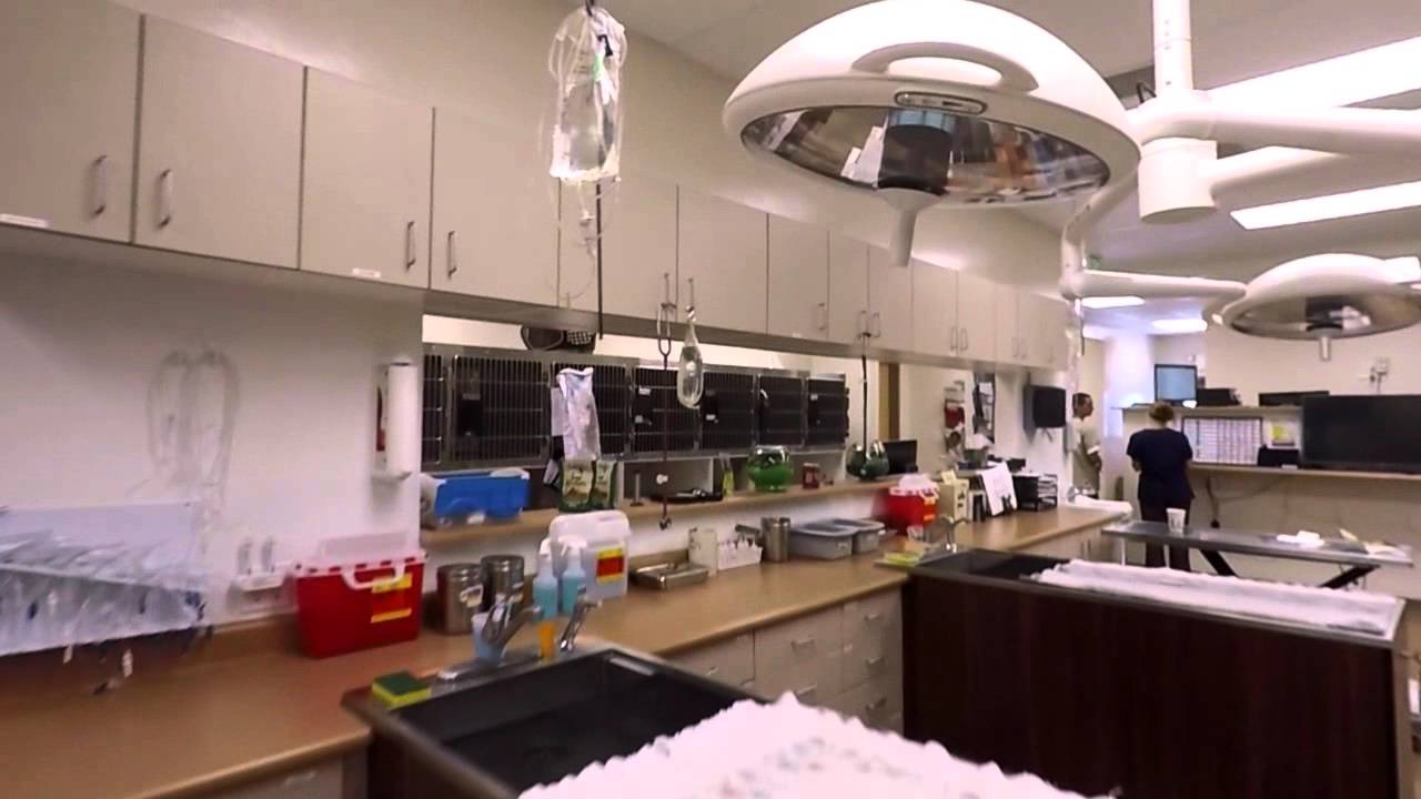 Video: GOPR4483 hyperlapse part2/2 1x adv - Redstone Veterinary Hospital - Grand Junction, Colorado