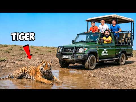 Meeting Real King of Jungle | Kabini Forest Safari | M4 Tech |