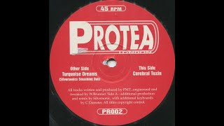 PMT - Cerebral Toxin (Trance 1998)