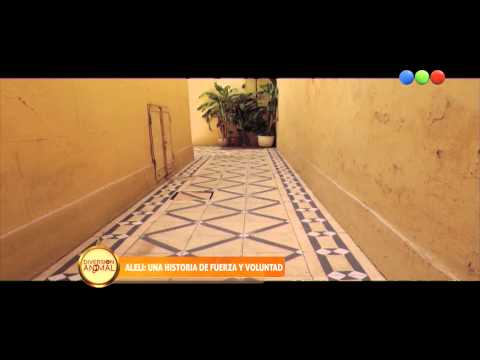 Aleli, la historia de la perra que  pelea por la vida, Parte 2 - Diversion Animal