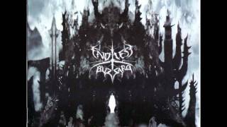 Endless Blizzard - Telepathic Rites