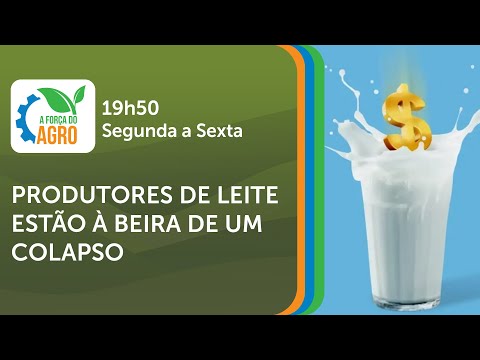 A Força do Agro, com Joice Maffezzolli - Produtores de leite estão à beira de um colapso