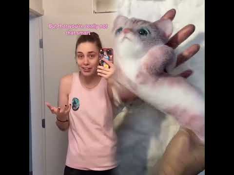 What do your friends actually think about you? 🧠🎨 w OnlyJayus - #shorts