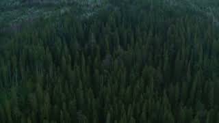 Evergreen - Two Steps From Hell (slowed + reverb)