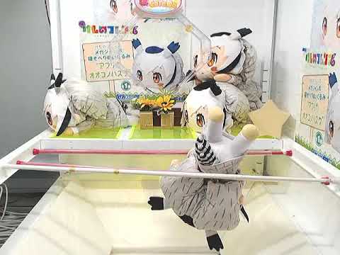 My third Toreba win! Kemono Friends Northern White-faced Owl laying down plush!