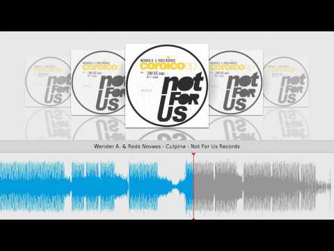 Wender A. & Rods Novaes - Culpina - Not For Us Records