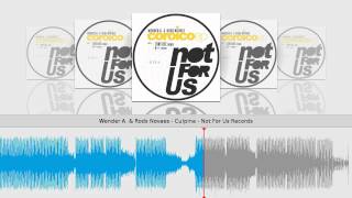 Wender A. & Rods Novaes - Culpina - Not For Us Records
