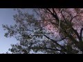 filous - Dawn feat. ROBB (Unofficial Video) 