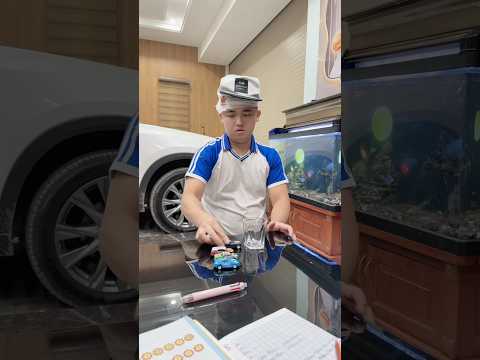 Tôm mất Trí Nhớ #simnangvlog