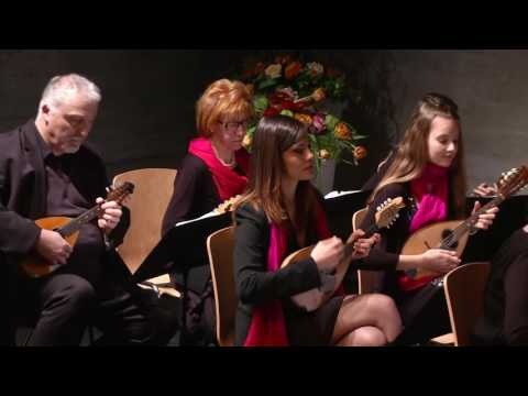 Orchestra mandolinistica di Lugano - Mario Vicari, Sul Lago di Lugano