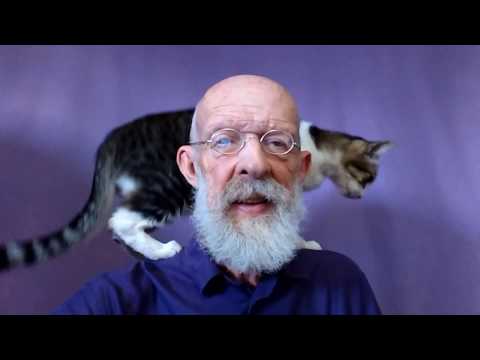 El  acorde de moda, el de 11va en la guitarra