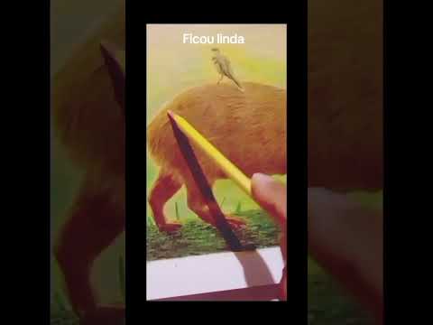 Esse bichinho lindo e fofinho invadiu minha cidade Guaiúba-ce