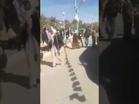 جماعة كاشير تاع زوايا في أدرار يتزاحمون على ساندويتش كاشير