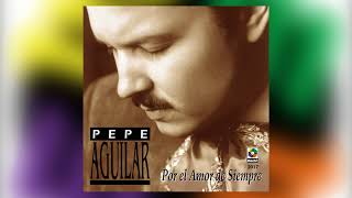 Me Estoy Acostumbrando A Ti - Pepe Aguilar del álbum Por El Amor De Siempre