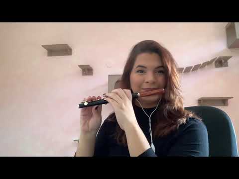 No expresso viajamos ICM Flauta/Piccolo