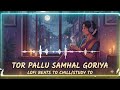 Tor Pallu Samhal Goriya Lofi CG T Series LOFI