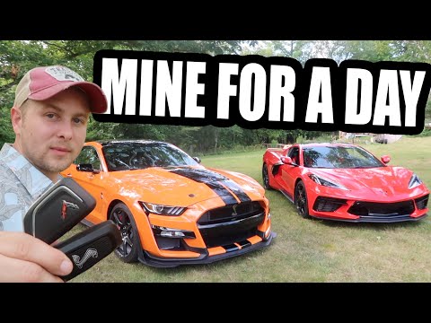 C8 Corvette vs 2020 GT500 760hp Which is BETTER?