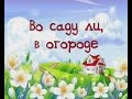Во саду ли, в огороде 5.06.15 