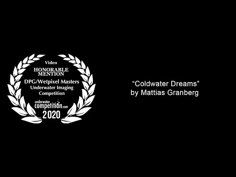 DPG/Wetpixel Masters 2020 Honorable Mention Video – “Coldwater Dreams” by Mattias Granberg
