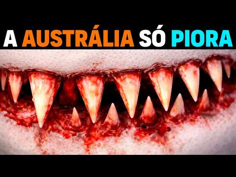 🚨 L'Australia sta peggiorando: spiagge chiuse e MOLTI ATTACCHI in 48 ore