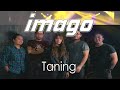 Imago - Taning - Imago