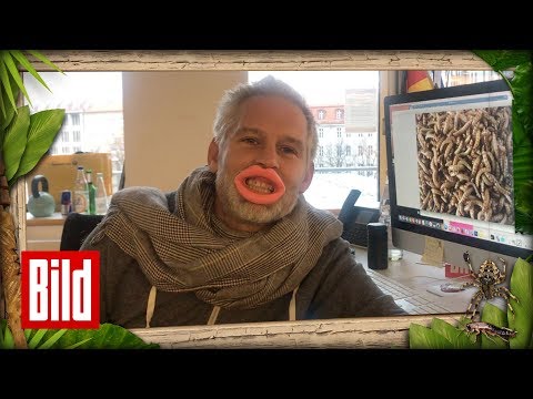 Die BILD-Dschungelshow - Mit Host Ingo Wohlfeil und Walter Freiwald, Patrizia Blanco zum Camp
