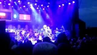 Max Herre & Friends & Kahedi Radio Orchester Burg Abenberg 2014