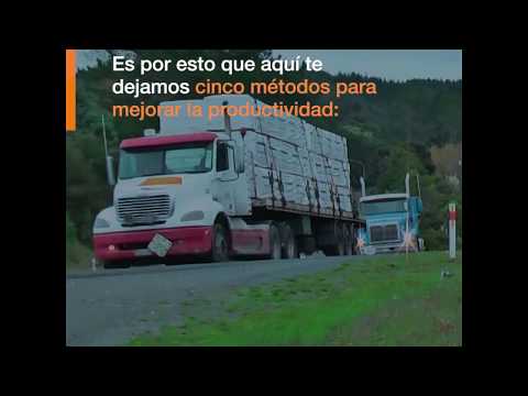 ¿Cómo saber si la flota vehicular de mi empresa es productiva?