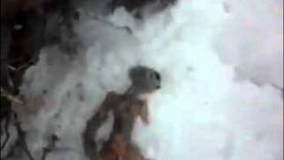 Dead alien found in snow near UFO hotspot in Russia - Siberia