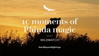 Download lagu 10 moments of Phinda magic mp3 Download lagu 10 moments of Phinda magic mp3