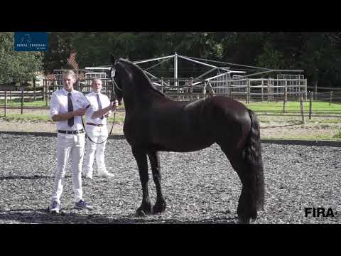 Loctiekeuring Stal Eppinga 21-7-2020