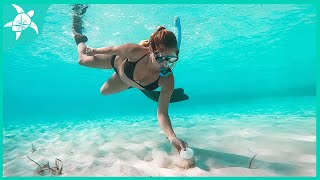 Sea Turtles, Mermaids, & Bonfires!