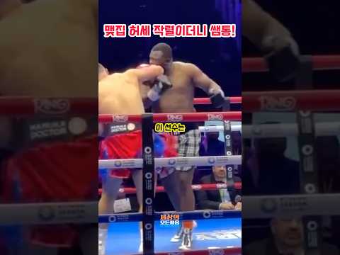 허세 복서의 비참한 최후... 참교육 작렬 