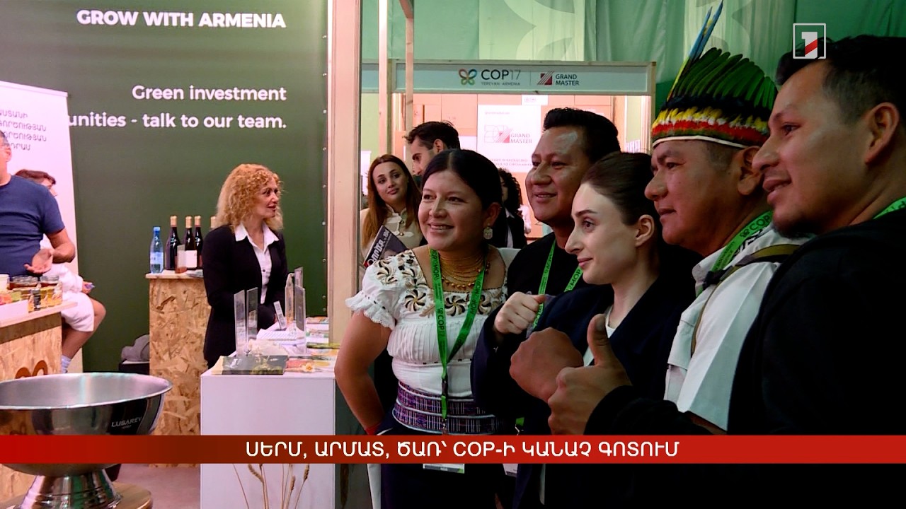 Սերմ, արմատ, ծառ՝ COP-ի կանաչ գոտում