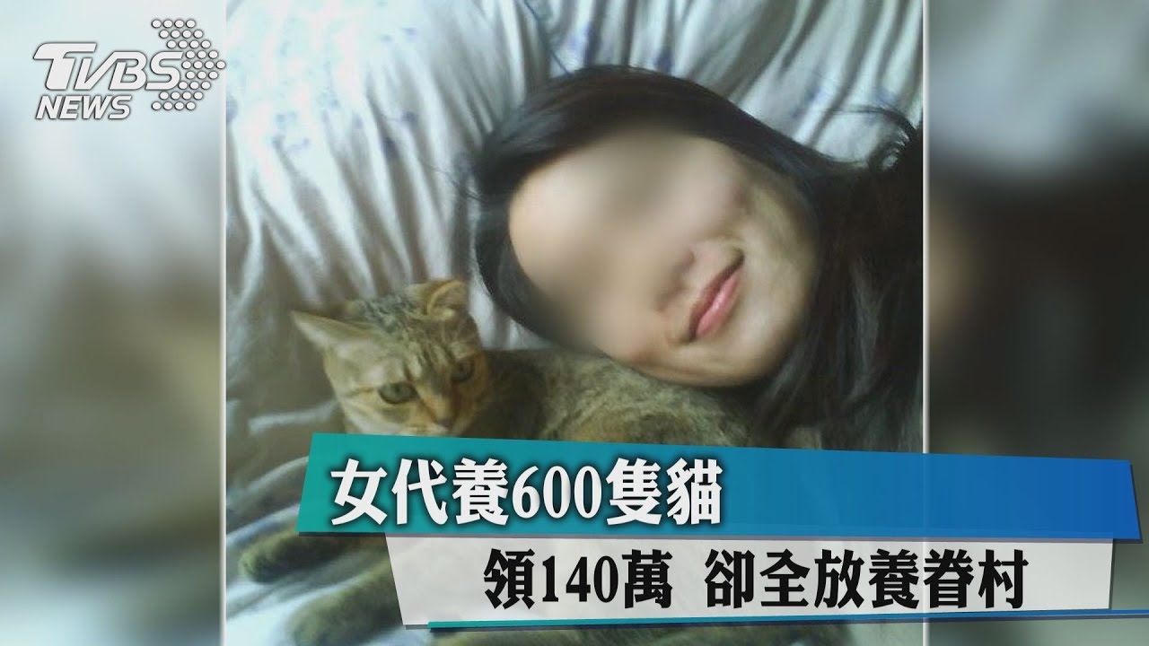 女代養600隻貓領140萬　全放養廢棄眷村