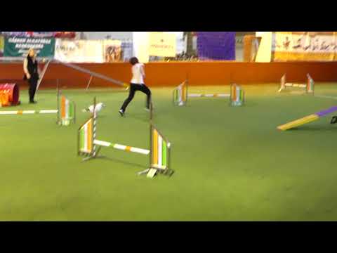 Wéber Krisztina és Ariel